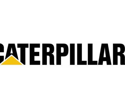 Caterpillar3